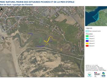 Cartographie des filandres : proposition d'une typologie (2023) - Estuaire de la Slack