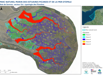 Cartographie des filandres : proposition d'une typologie (2023) - Estuaire de la Somme - secteur est