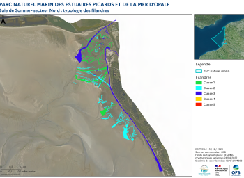 Cartographie des filandres : proposition d'une typologie (2023) - Estuaire de la Somme - secteur nord