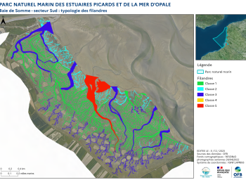 Cartographie des filandres : proposition d'une typologie (2023) - Estuaire de la Somme - secteur sud